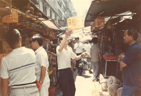 養雀|養雀文化｜「雀仔街」予舊香港最温柔的印